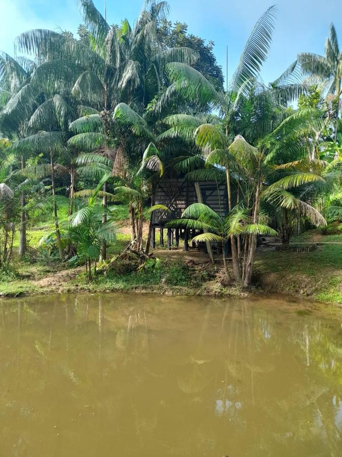 Cabanas Dechi Puerto Nariño 外观 照片