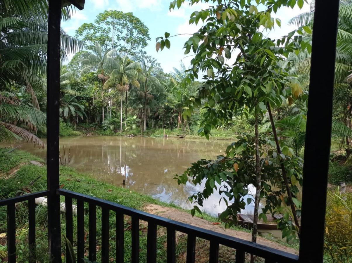 Cabanas Dechi Puerto Nariño 外观 照片